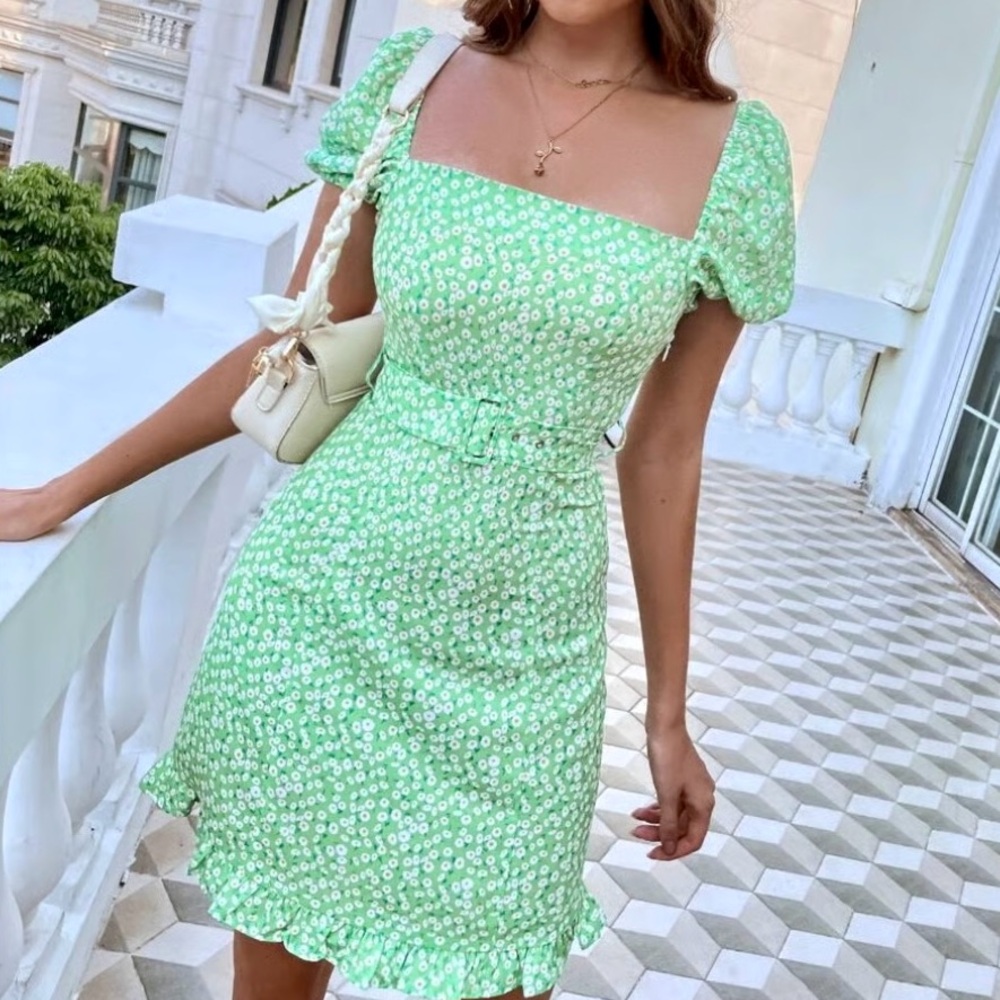 Zara belted mini dress